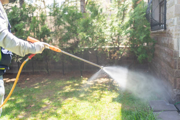 Best Local Pest Control Services  in Williamston, NC