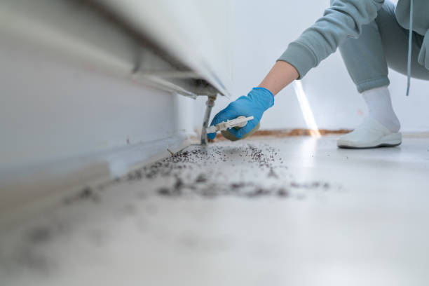Best Best Pest Control Companies  in Williamston, NC